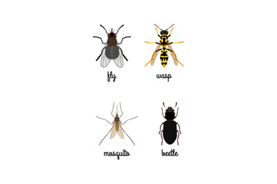 Colorful insects icons set with names