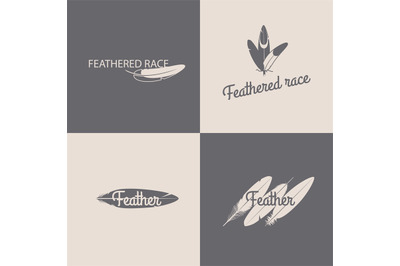 Feather logotype design templates