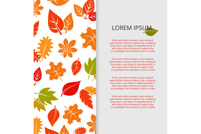 Autumn leaves banner design - fall colorful foliage poster