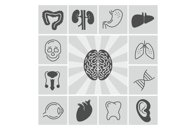 Human organs thin line and silhouette icons