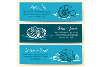 Seashell frame banners