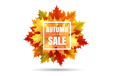 Autumn sale illustration with leaf fall