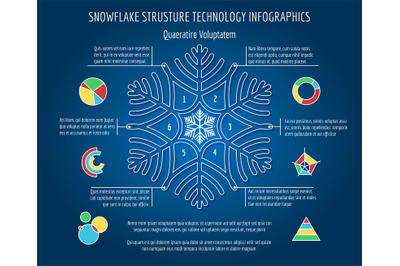 Christmas snowflakes infographics