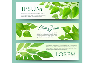 Green leaves banners