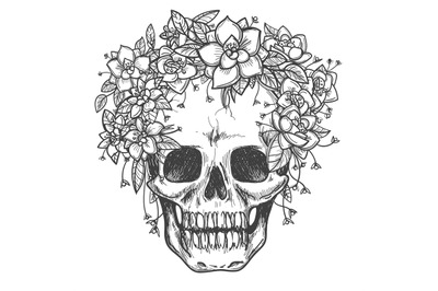 Dead skull with rose flowers sketch