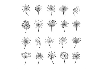 Dandelion silhouette icons