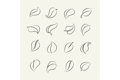 Outline sketch leaf set