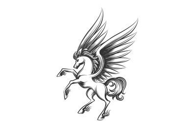 Winged horse engraving illustration