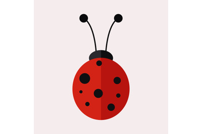 Ladybug icon