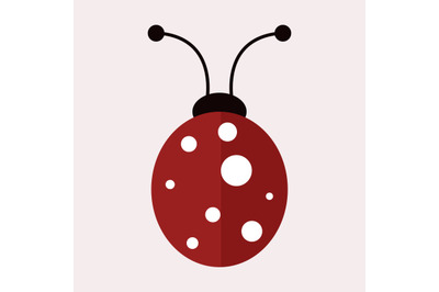 Ladybug icon