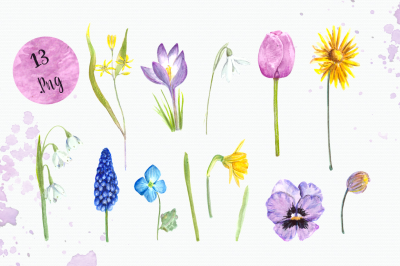 Watercolor Early Spring Flowers Clip Art Set