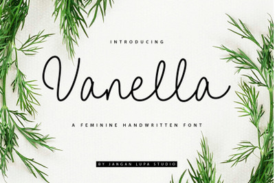 Vanella Feminine Script Font