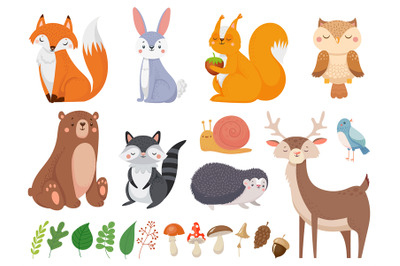 Cute woodland animals. Wild animal, forest flora and fauna elements is