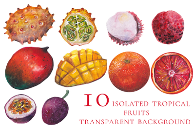 10 isolated watercolor tropical fruits
