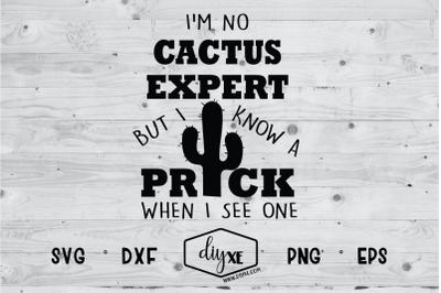 I&#039;m No Cactus Expert