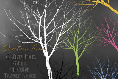 256 Winter Tree Branch Silhouette Wedding PNG Digital Images