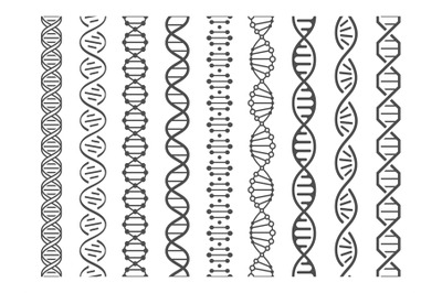Seamless DNA spiral. Adn helix structure, genomic model and human gene