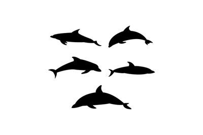 Dolphins