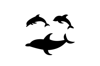 Dolphins