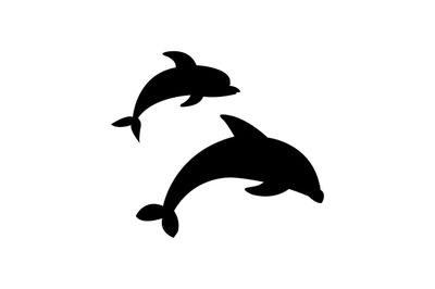 Dolphins