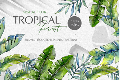 Tropical forest Watercolor png