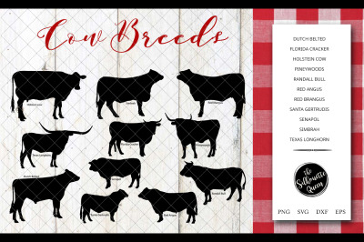 Cow Breeds Silhouette Vector svg file, cow svg cut file, silhouette st