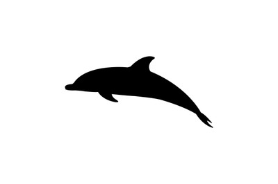 Dolphin icon