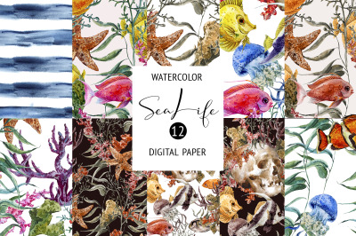 Watercolor Sea Life Digital Paper