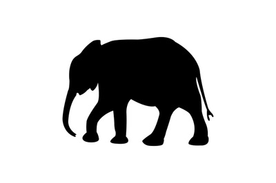 Elephant icon