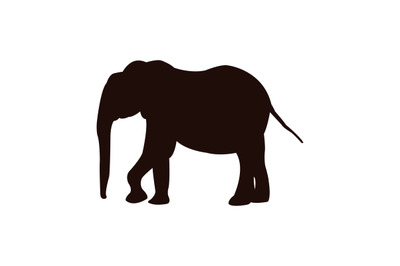 Elephant icon