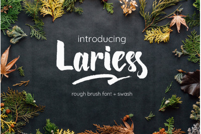 Lariess | Brush Font FWith Swash