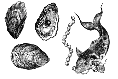 5 sea illustrations (pearls, fish, shells)