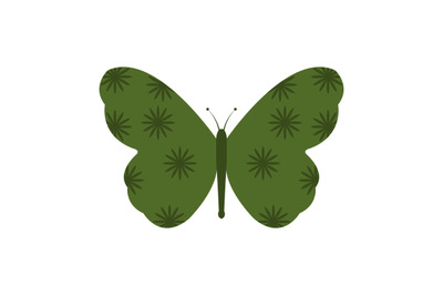 Butterfly icon