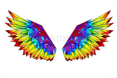 Rainbow Polygonal Wings