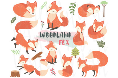 Woodland Animal Fox Elements