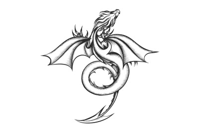 Dragon Drawn in Engraving Style isolated on white