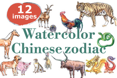 Watercolor horoscope zodiak