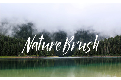 nature brush