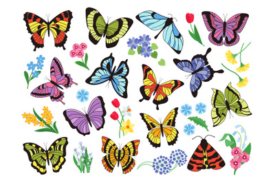 Colored butterflies. Hand drawn simple collection of butterflies and f