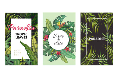 Tropical leaves posters. Jungle plants summer flyers, banana palm leaf