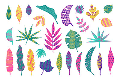 Abstract tropical leaves. Leaf summer tribal elements, trendy abstract