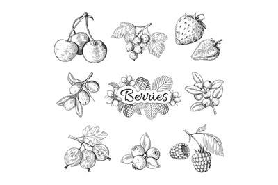 Hand drawn berries. Cherry blueberry strawberry blackberry vintage dra