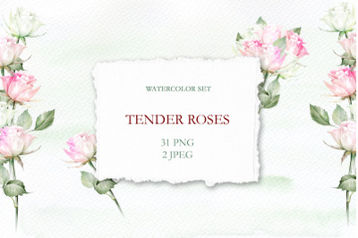 Tender Roses Watercolor Set