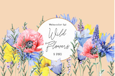 Wild Flowers in Watercolor