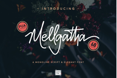 Mellgatha Monoline Script