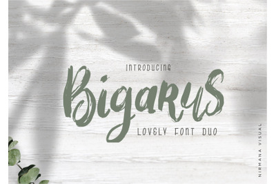 Bigarus - Font Duo