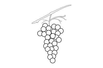 Grape icon