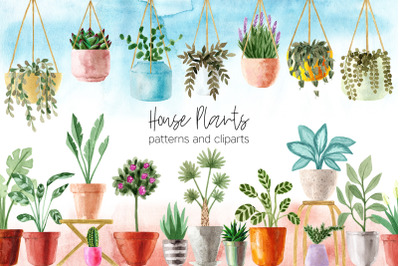 Watercolor House Plants Patterns