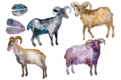 ﻿﻿Farm animals: Ram Watercolor png