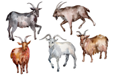 Farm animals: Goat Watercolor png